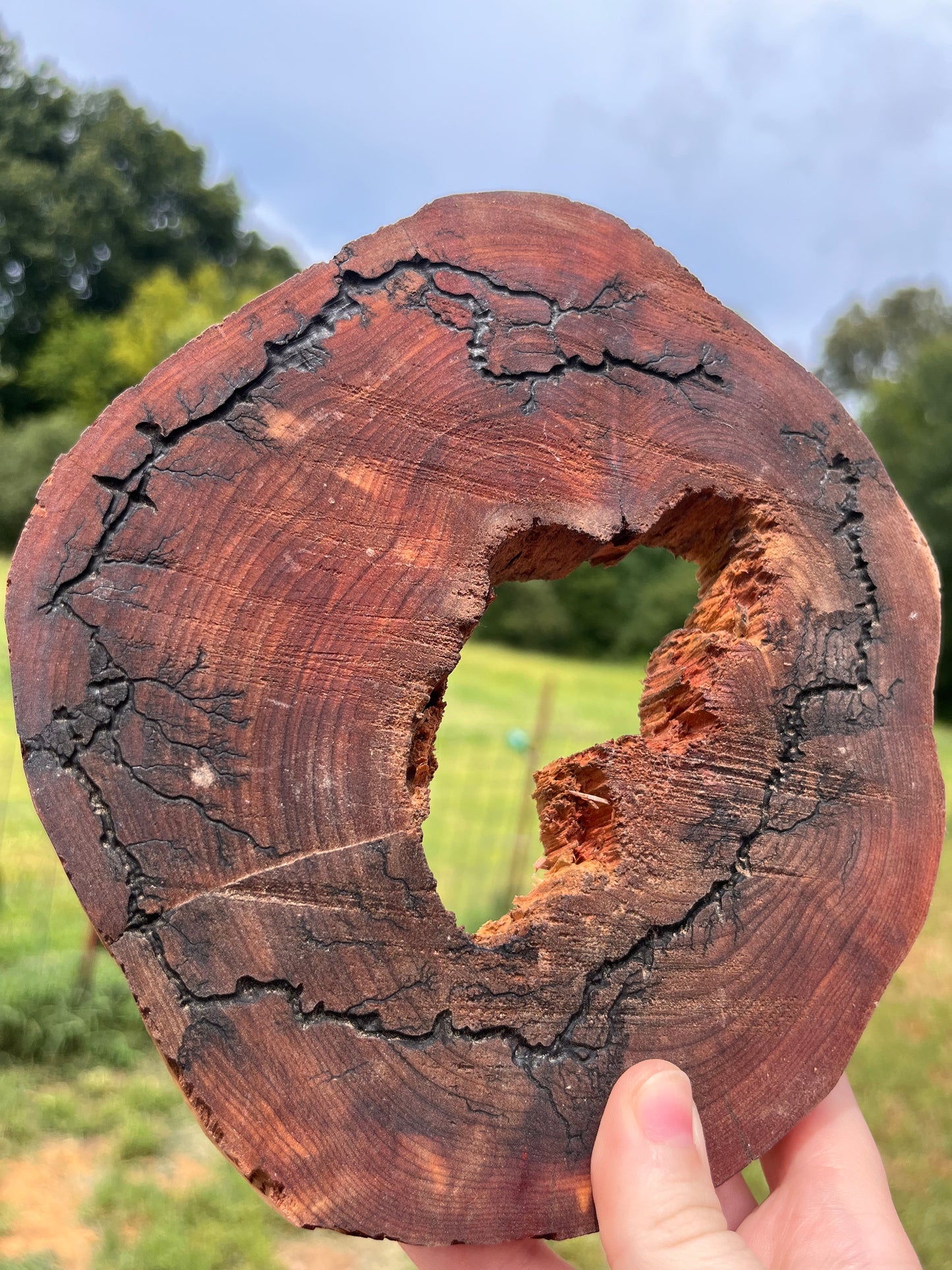 Ozark Driftworks Fracked Cedar Piece