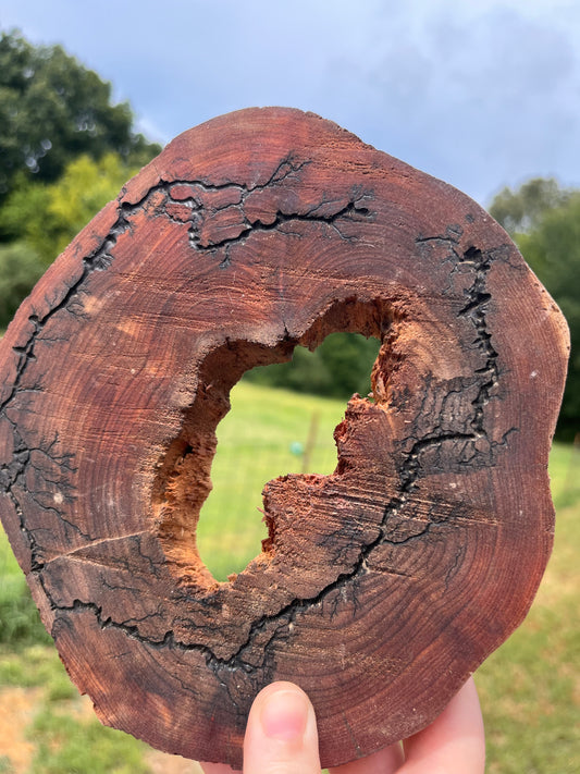 Ozark Driftworks Fracked Cedar Piece